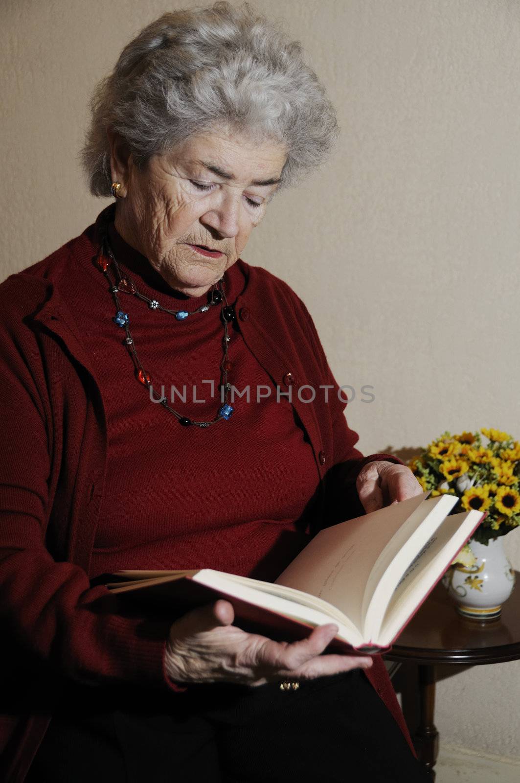 Senior woman reading book by fahrner