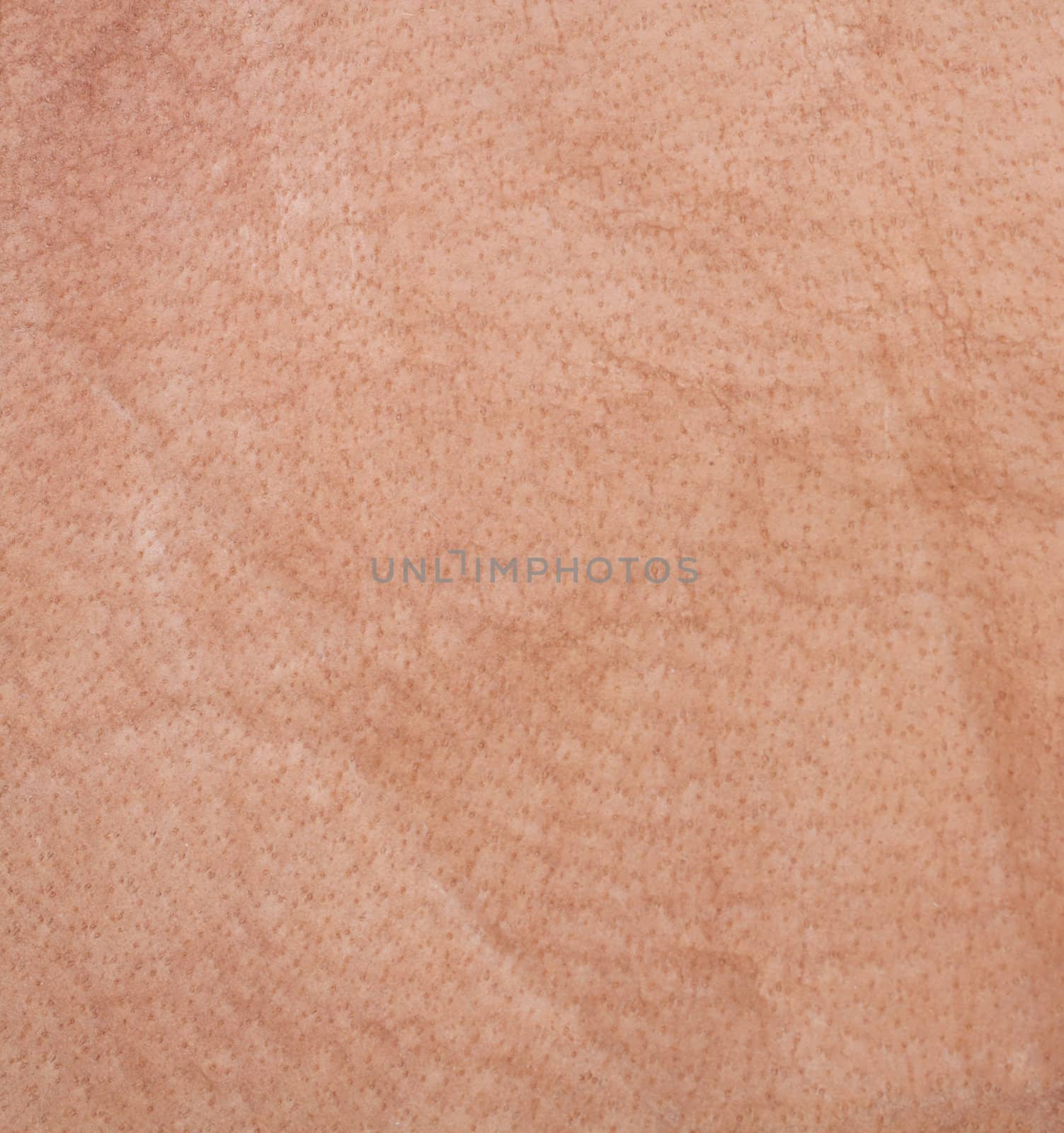 leather texture
