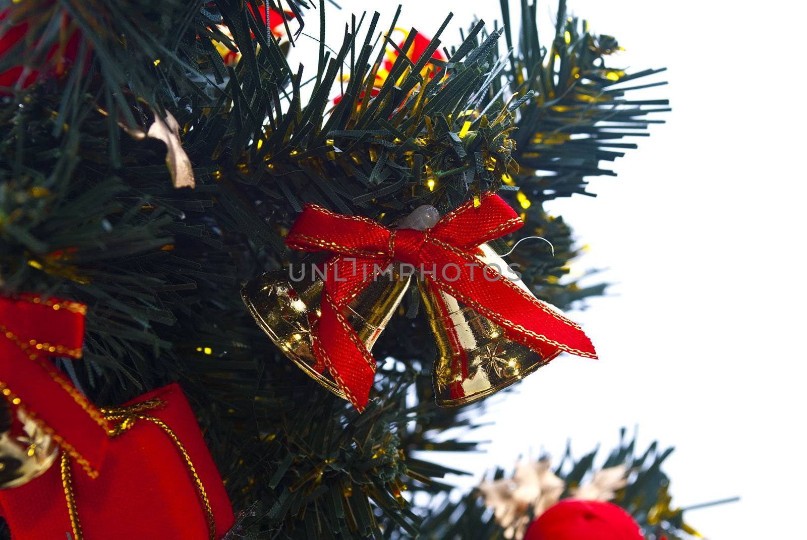 Christmas tree close up by Diversphoto