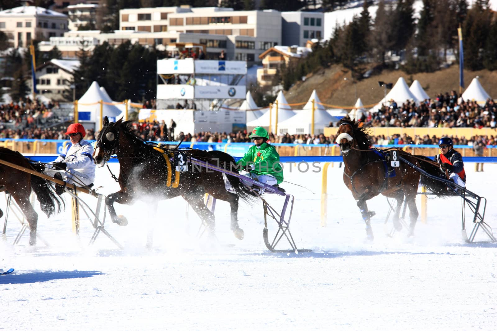 Trotting Race in the snow by monner