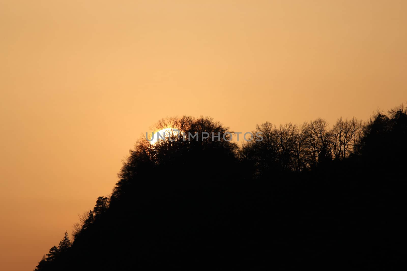 Silhouette of a forest at a colorful sunset