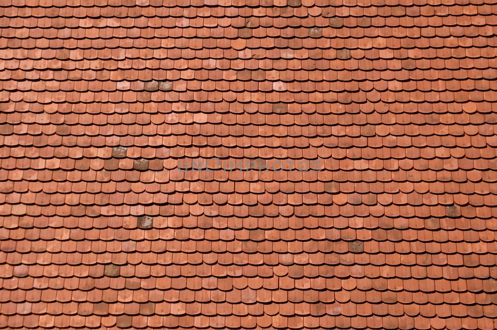 orange roof tiles close up detail