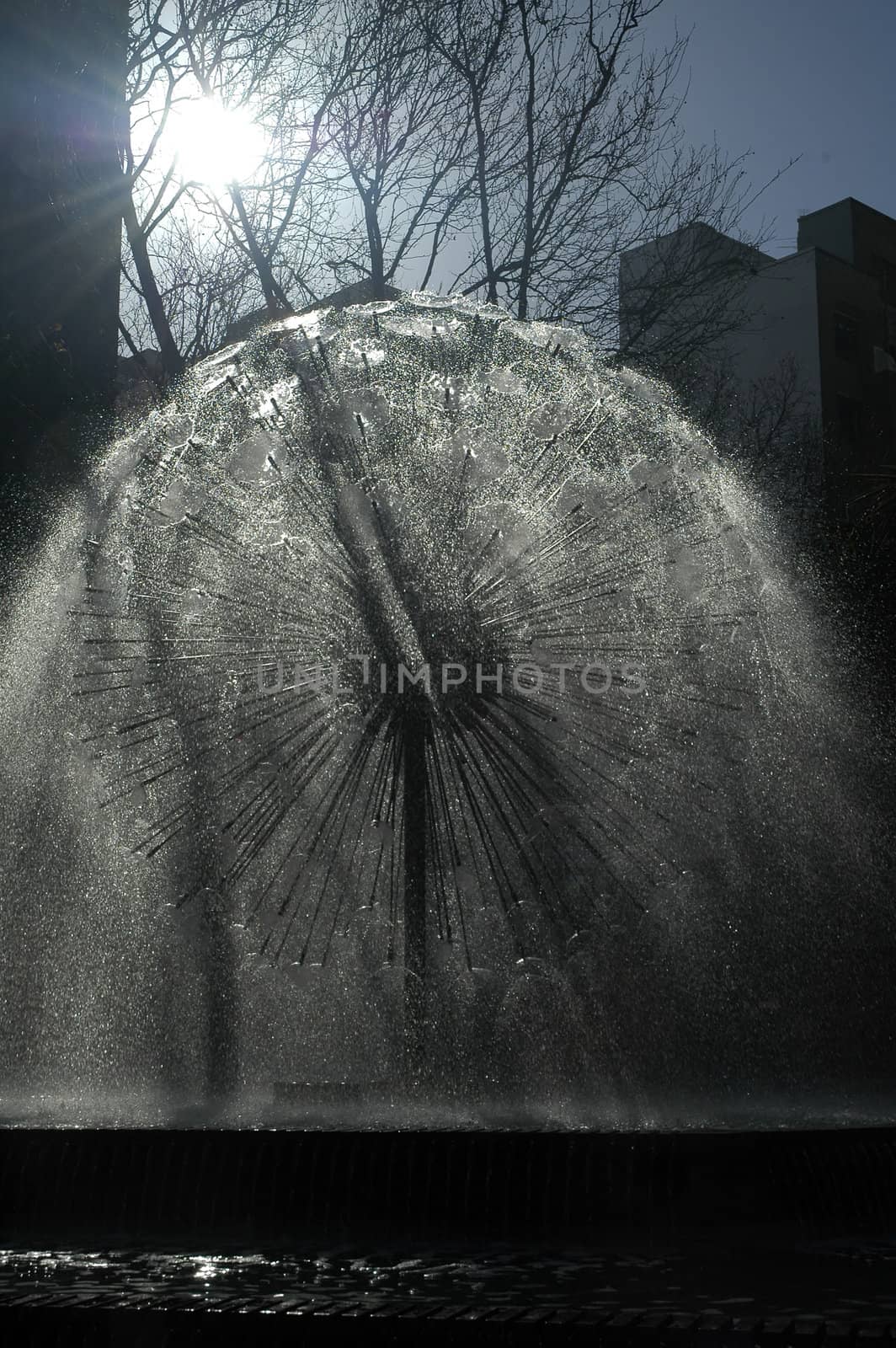 fountain looking like a dandelion in Sydney