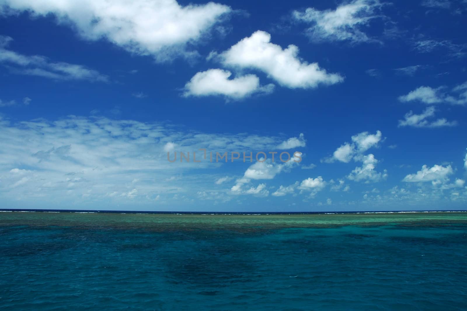 great barrier reef in australia, coral reef visible, blue cloudy sky, green water