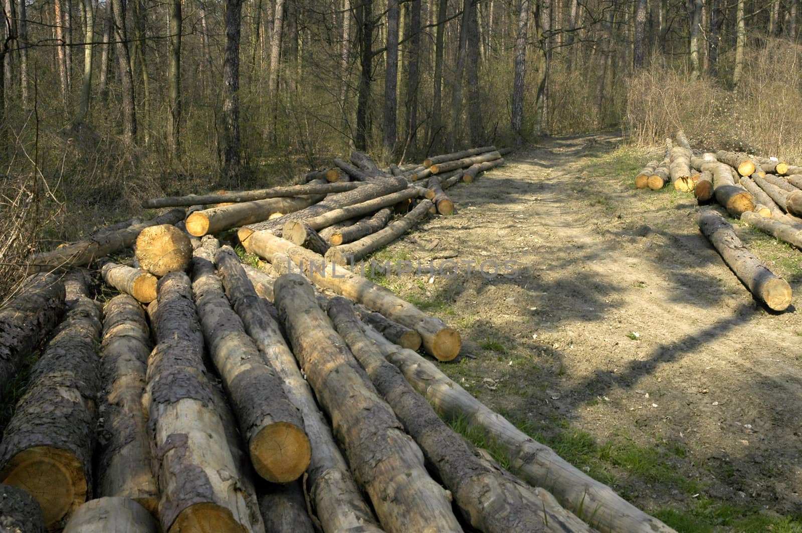 logs by rorem