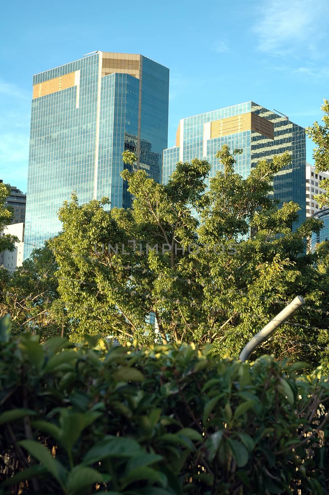 blue glass skyscrapers, green trees in foreground,