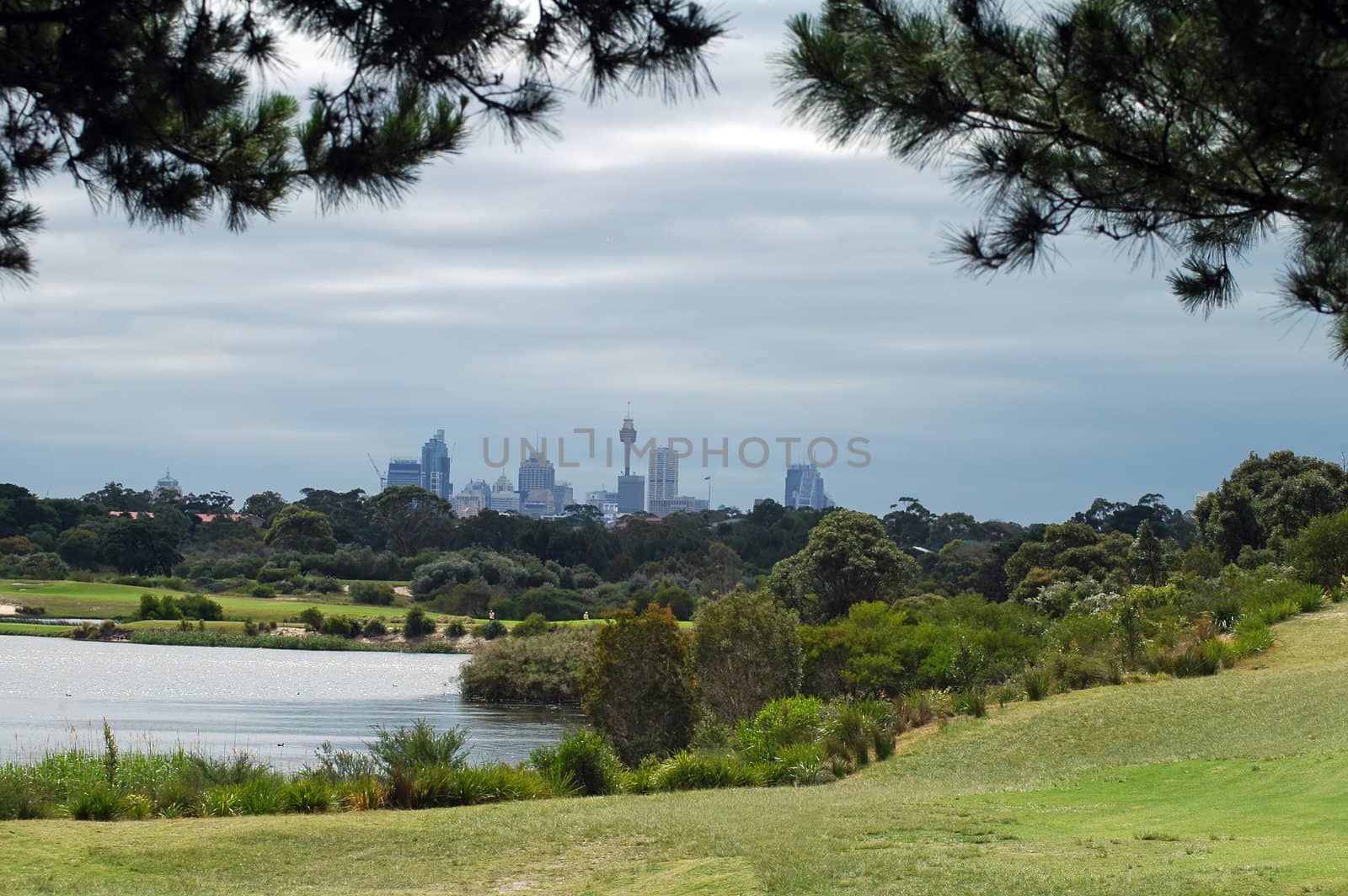 park in Eastlake district in Sydney, CBD with Sydney Tower in background