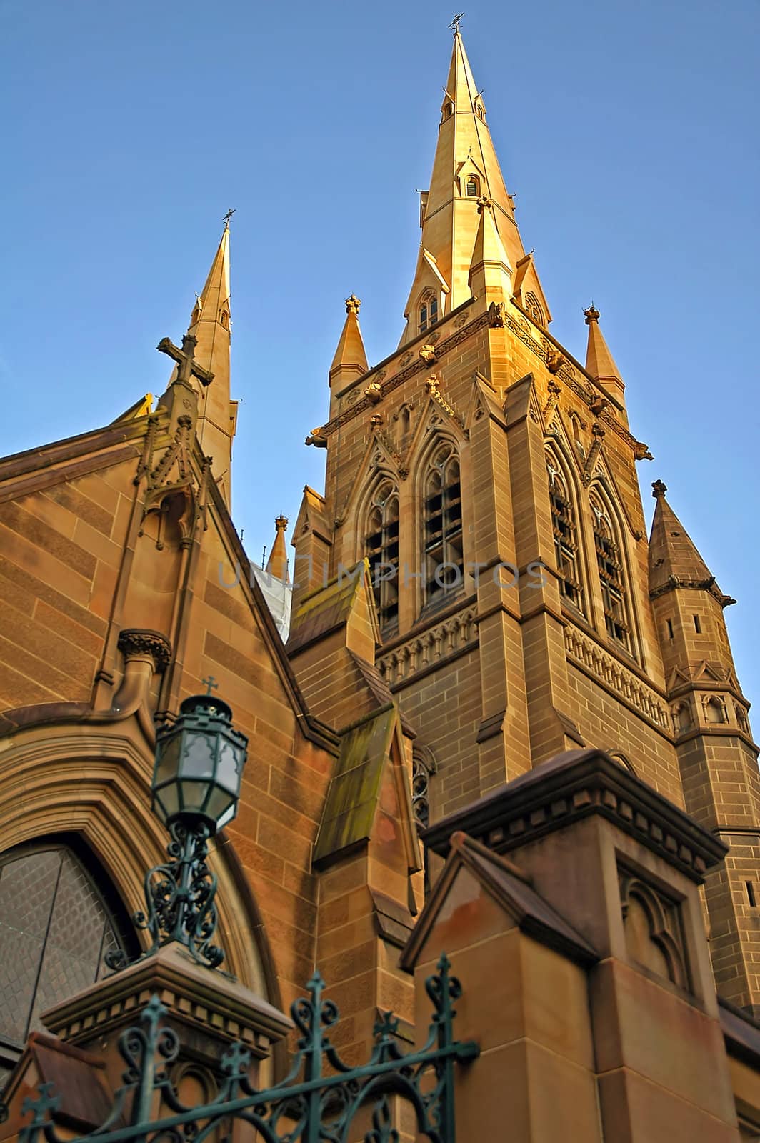 St. Marys Cathedral in Sydney, top part lighted with sun, tower detail