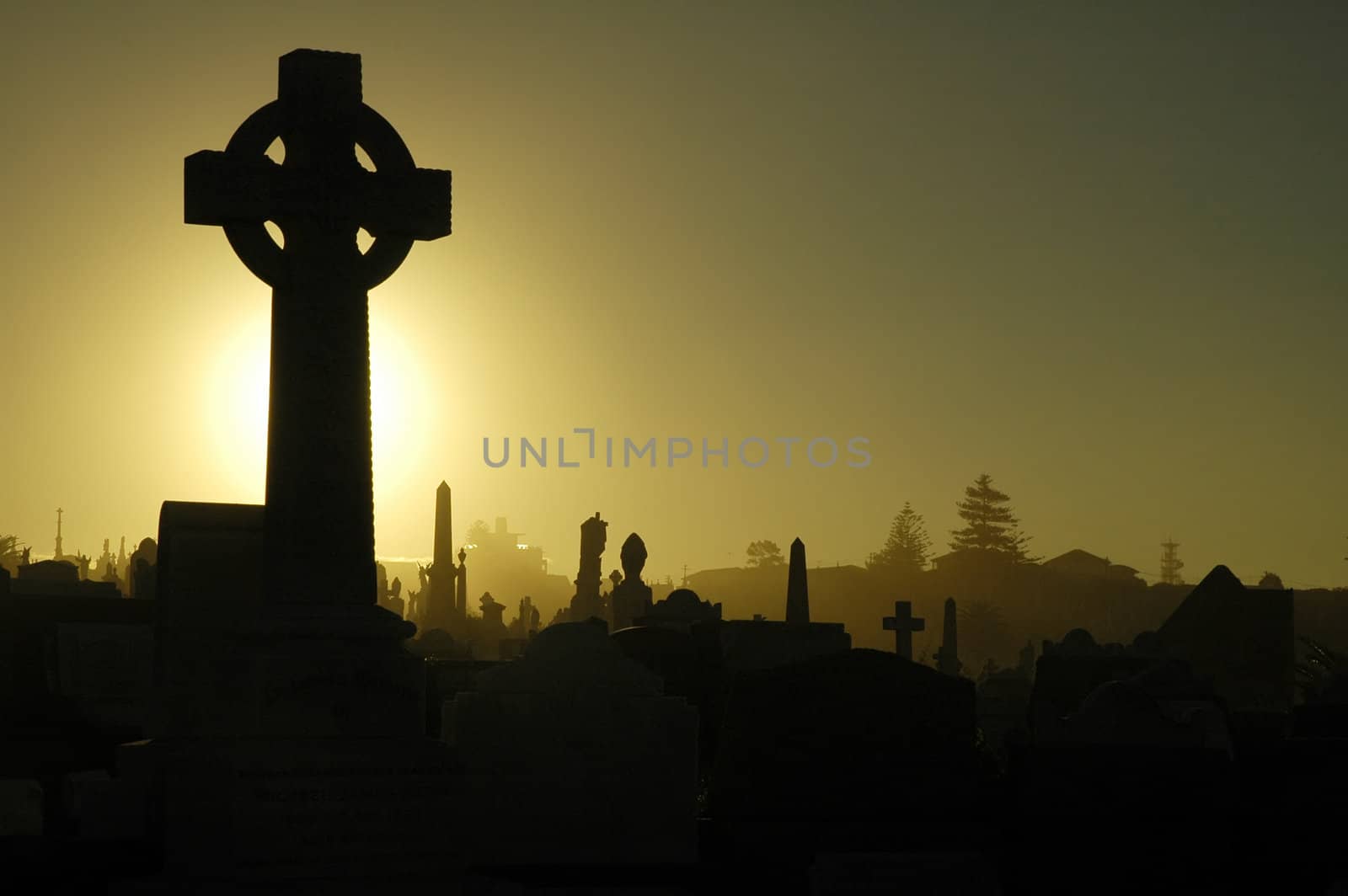 cemetery cross by rorem