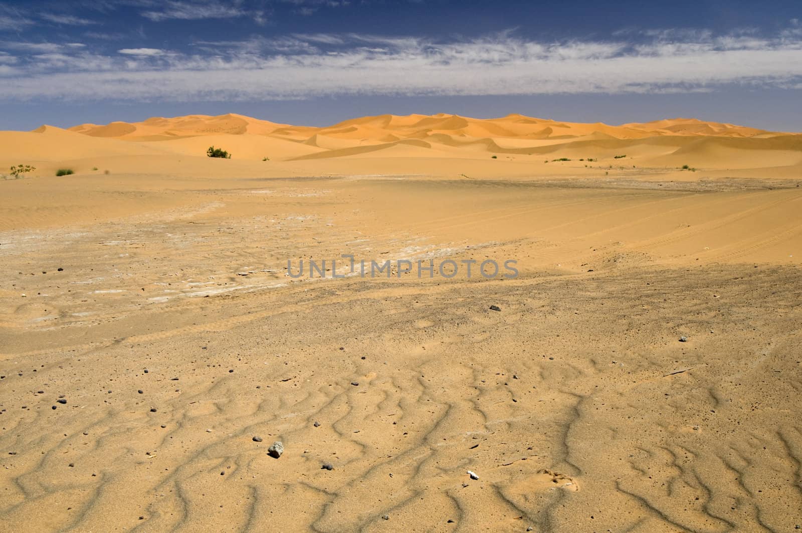 Panoramic view of the sahara desert. Best of Morocco.