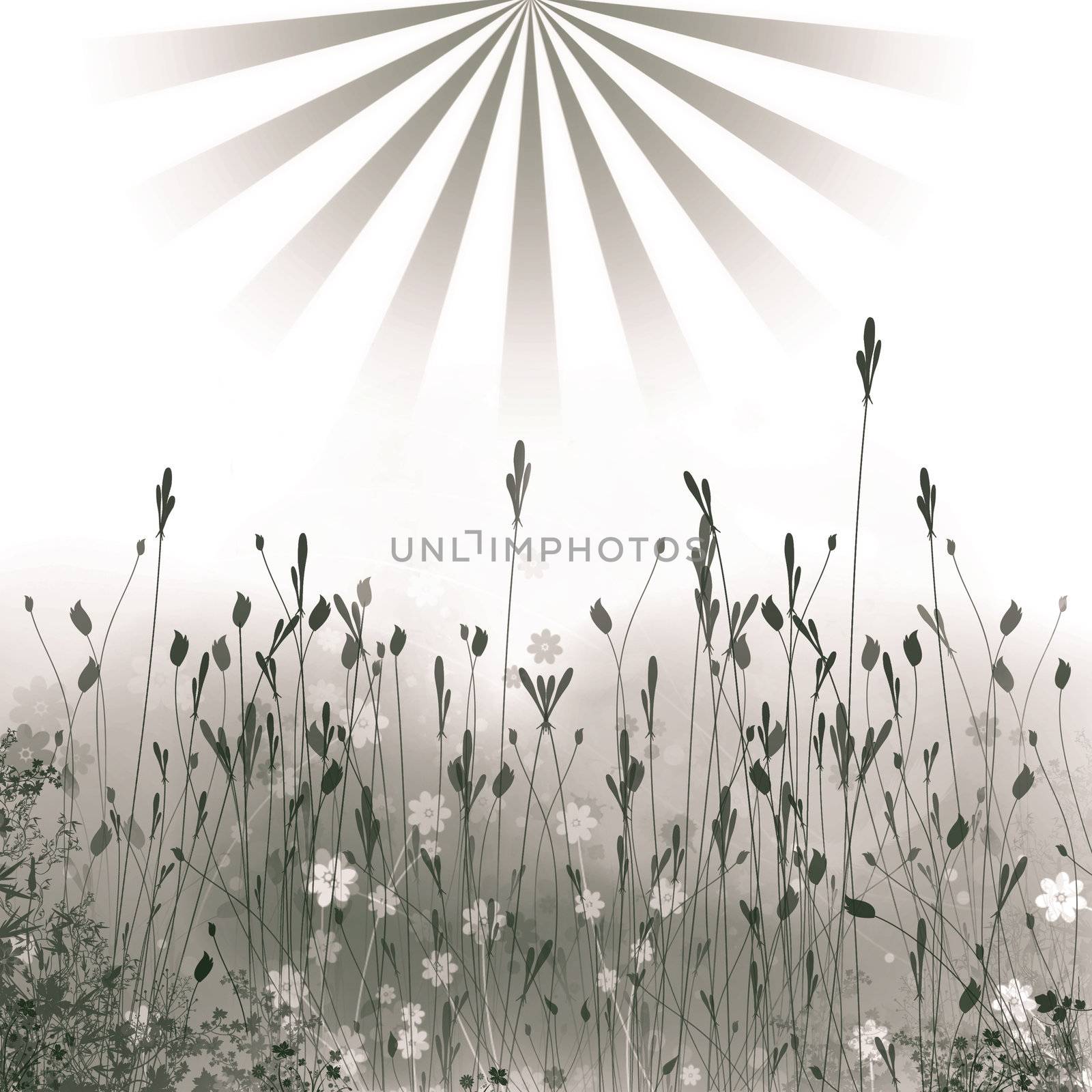 Abstract background from a flowers simulating meadow and the sun