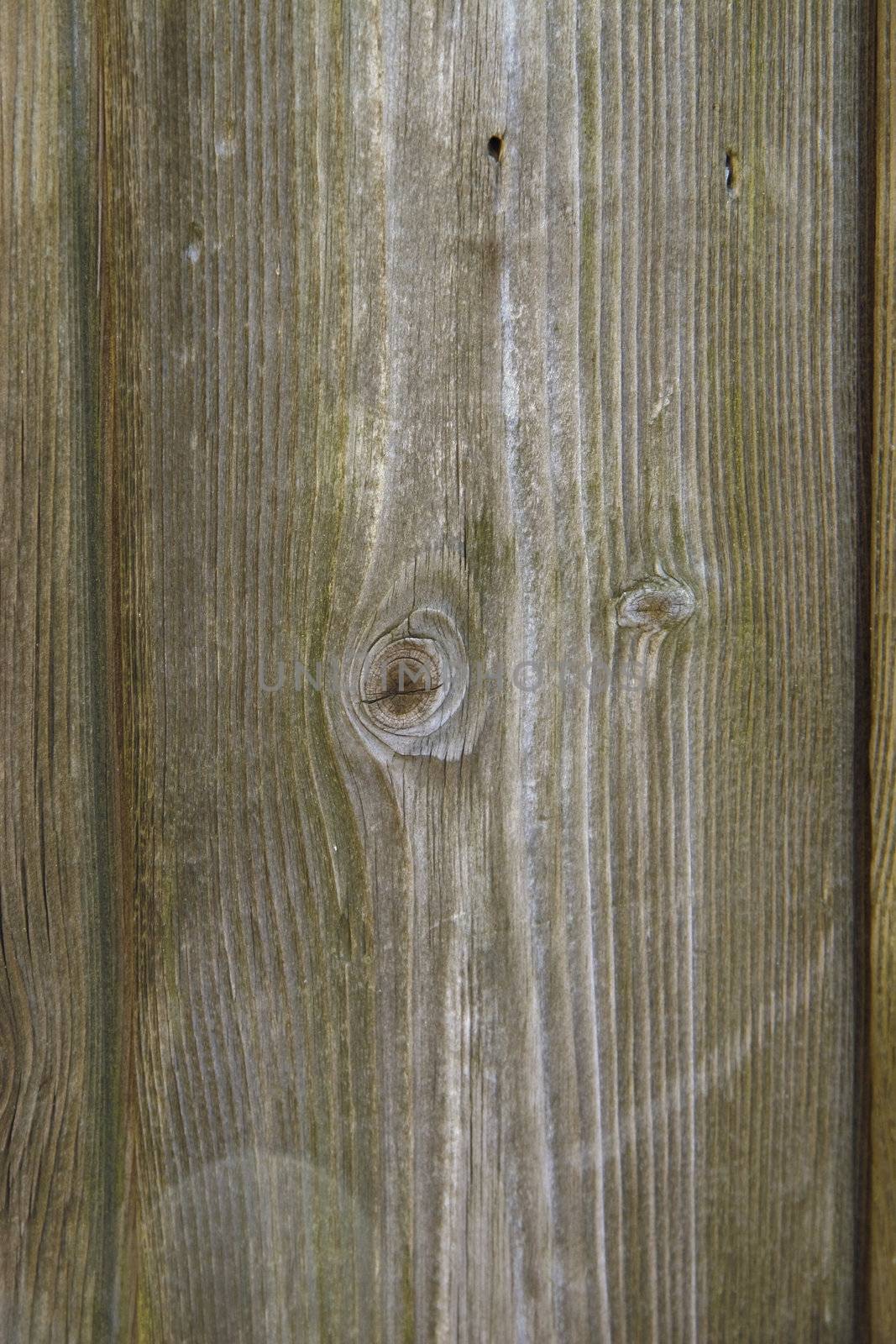 detail of the wooden slats of a wooden fence