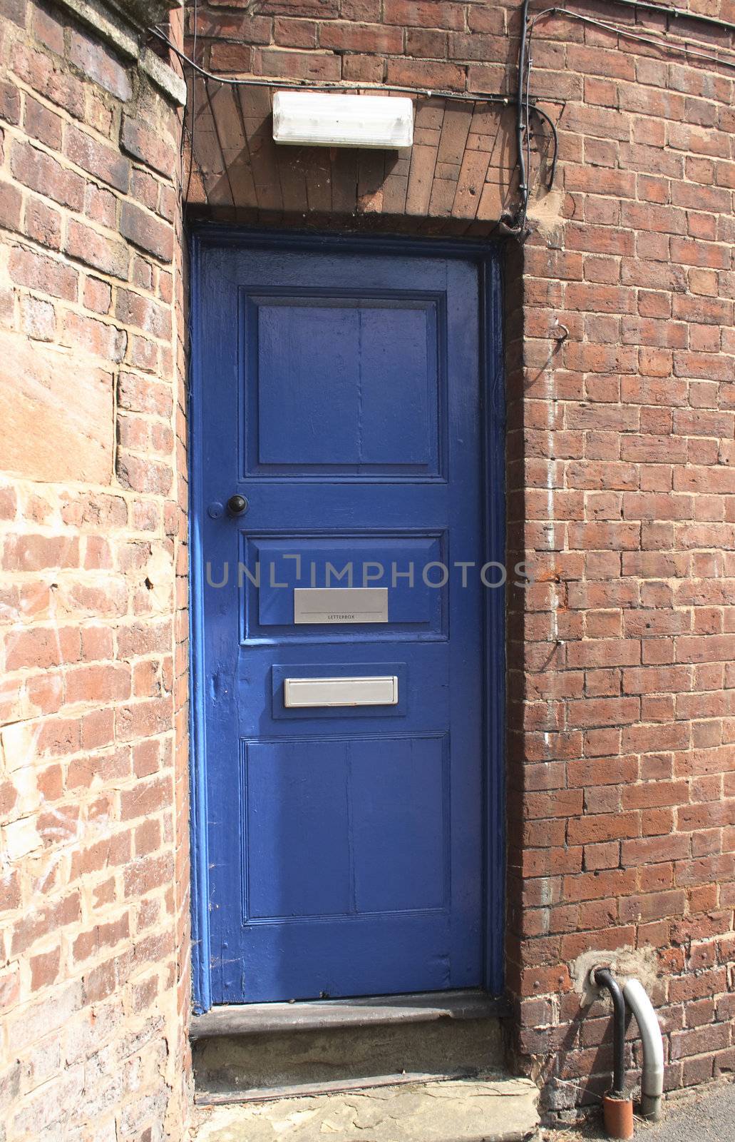 blue door by leafy