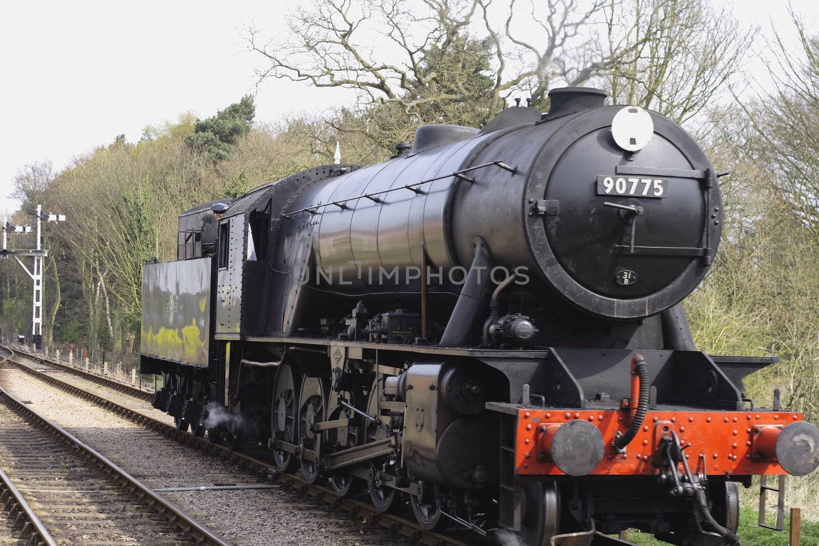 black steam train by leafy