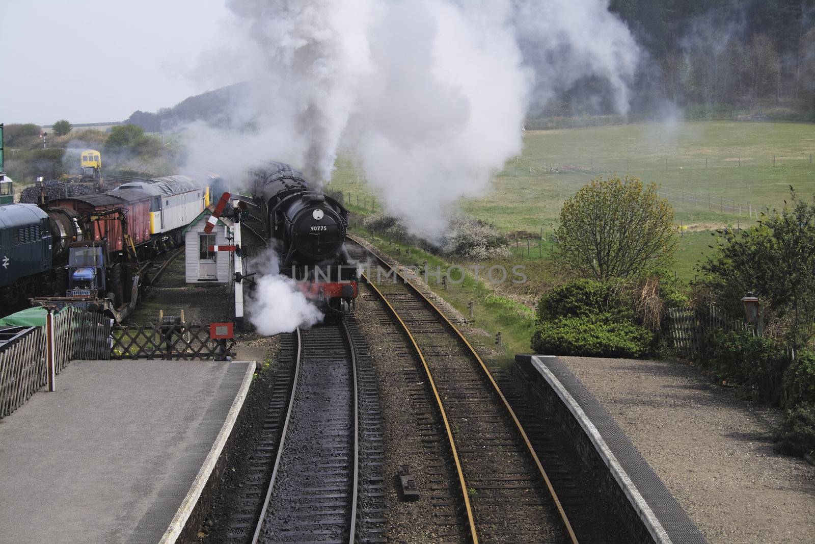 locomotive entering a station by leafy