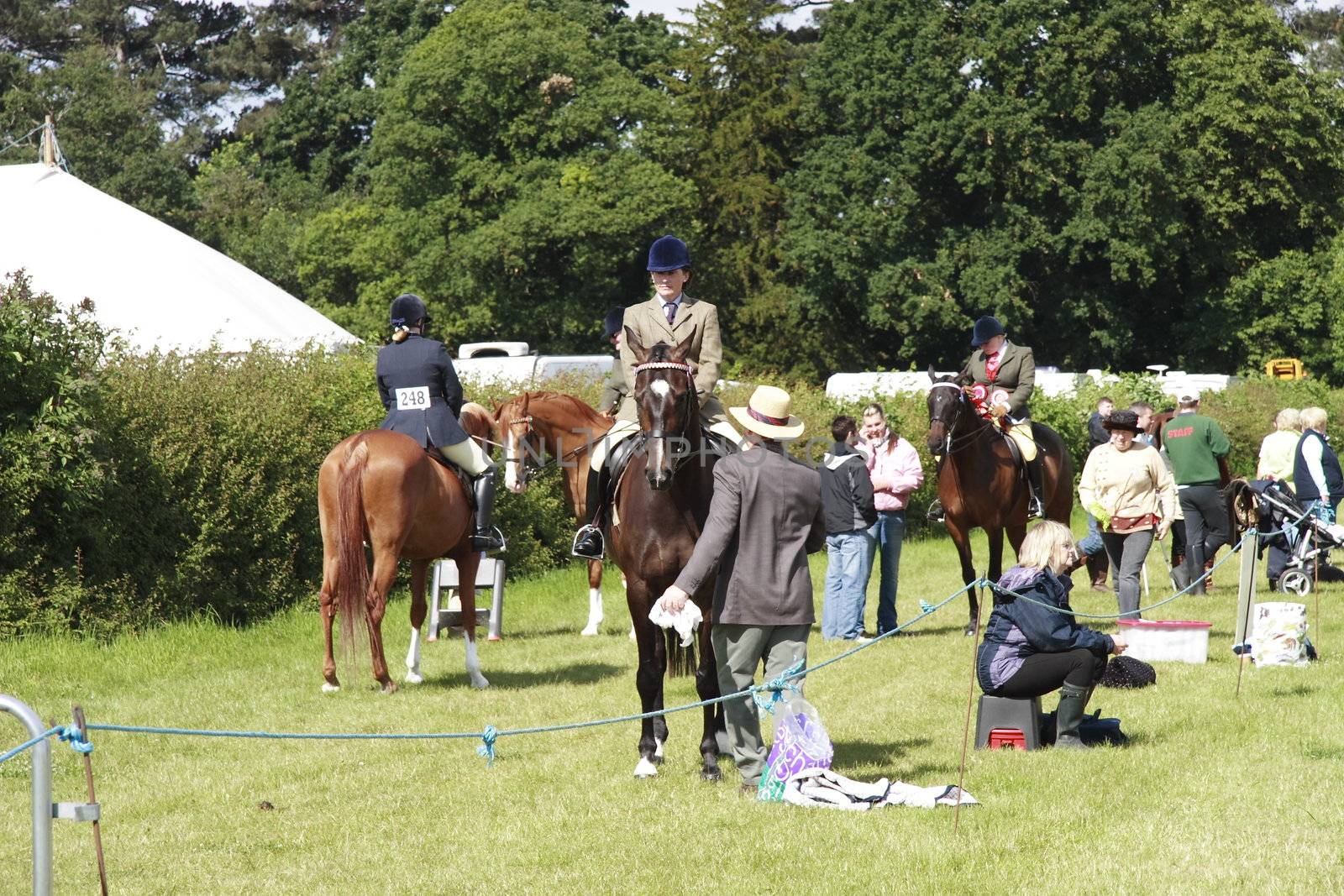 parading horses on show by leafy