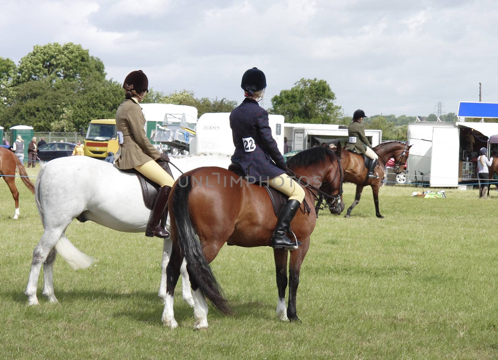 parading horses on show by leafy