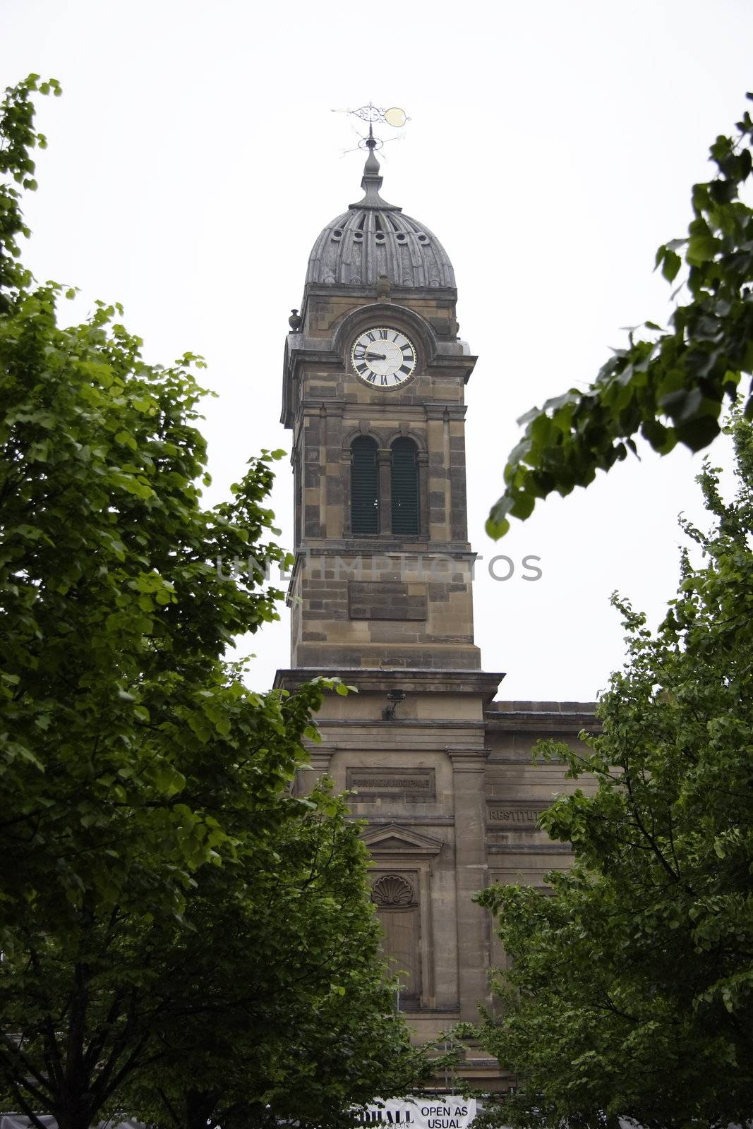 guildhall showing the clock and tower between trees
