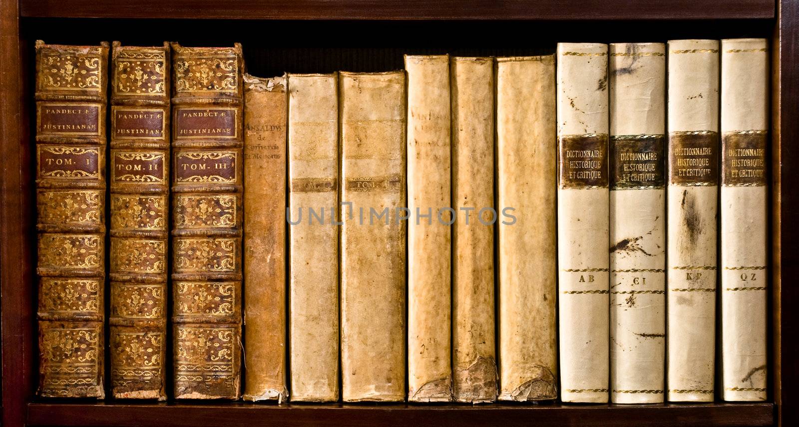 Ancient books (XVI and XVII century) on a wood shelf