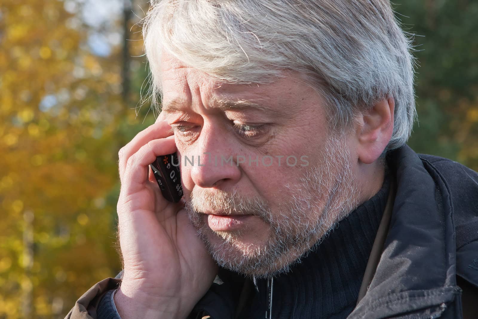 Mature busy man with grey hair in forest talking on the phone in autumn day.