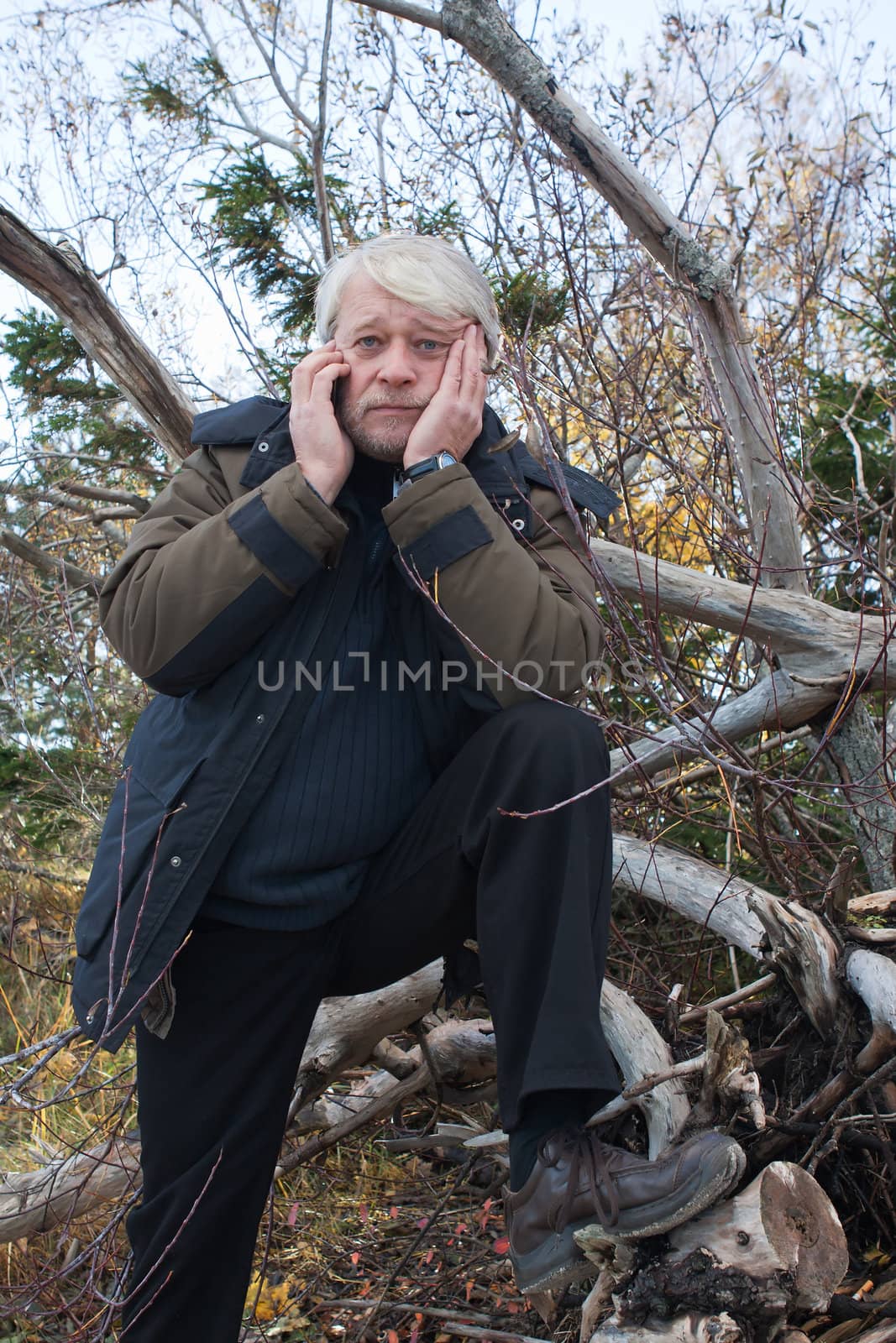 Mature busy man with grey hair in forest talking on the phone in autumn day.