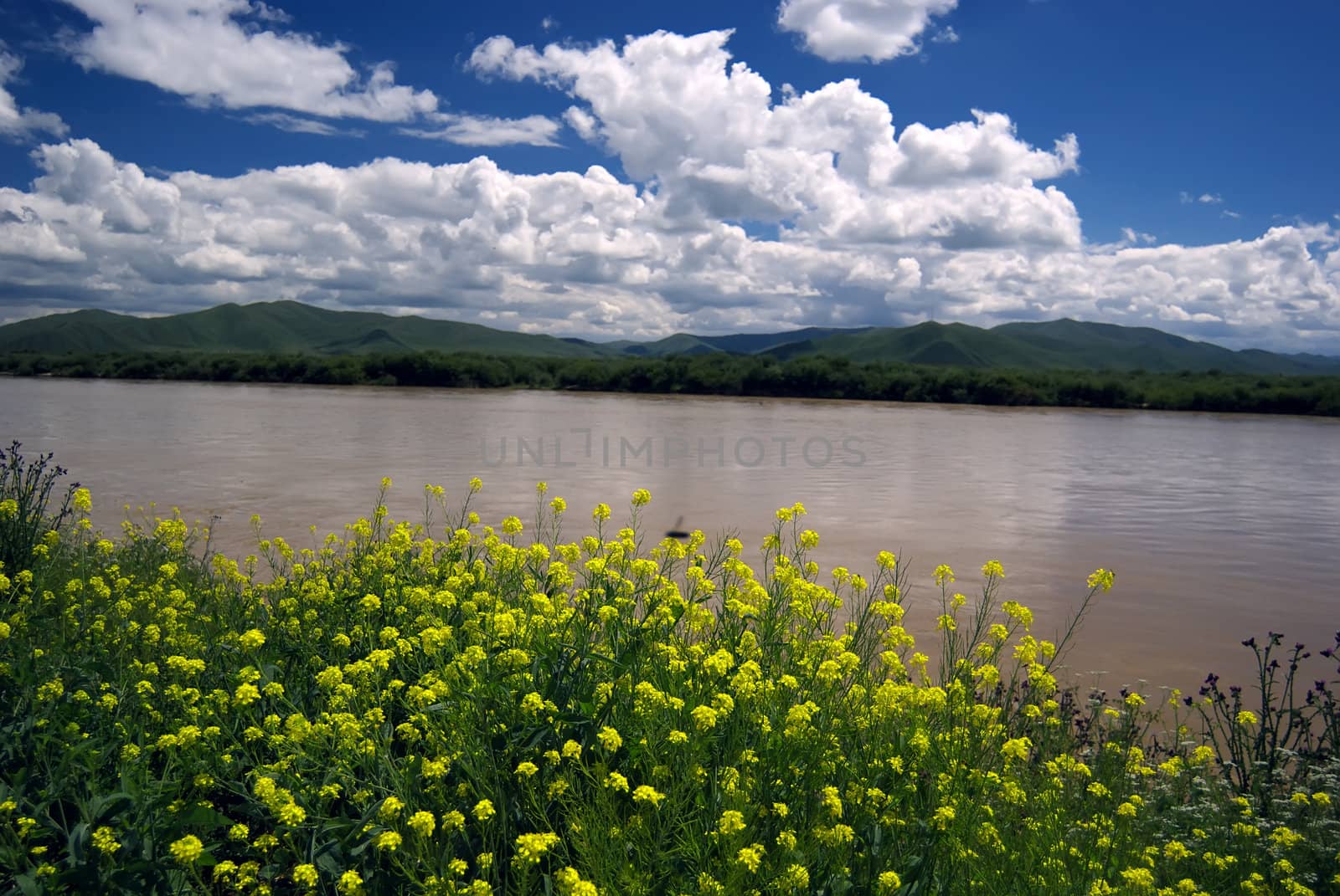 Taken in the upper reaches of the Yellow River in China,Was taken in August 2008