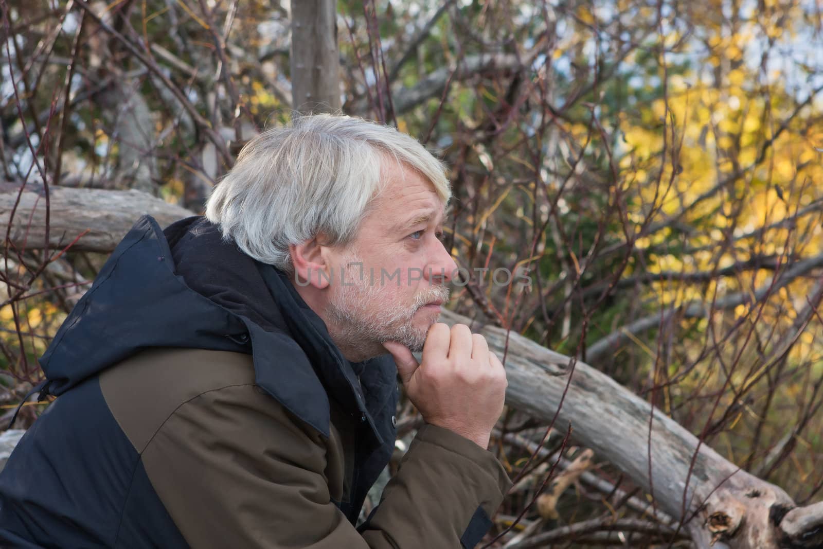 Portrait of mature thoughtful man with grey hair in forest in autumn day.
