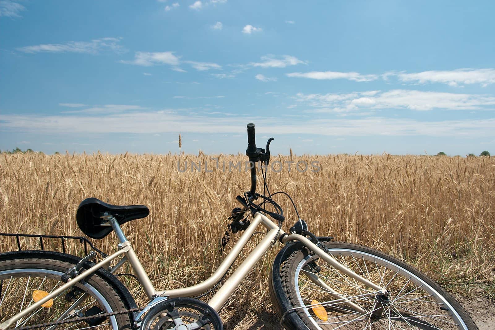 Bicycle put down by an agricultural field