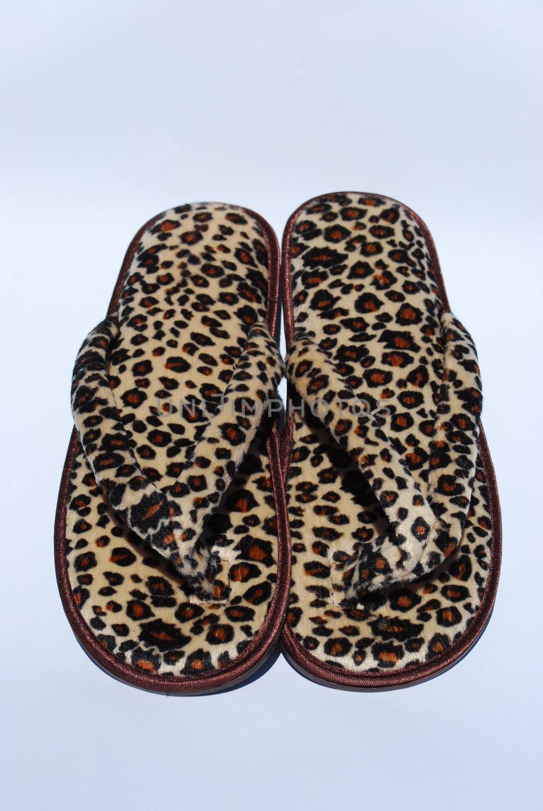 beautiful and fashion tigress flip-flops 