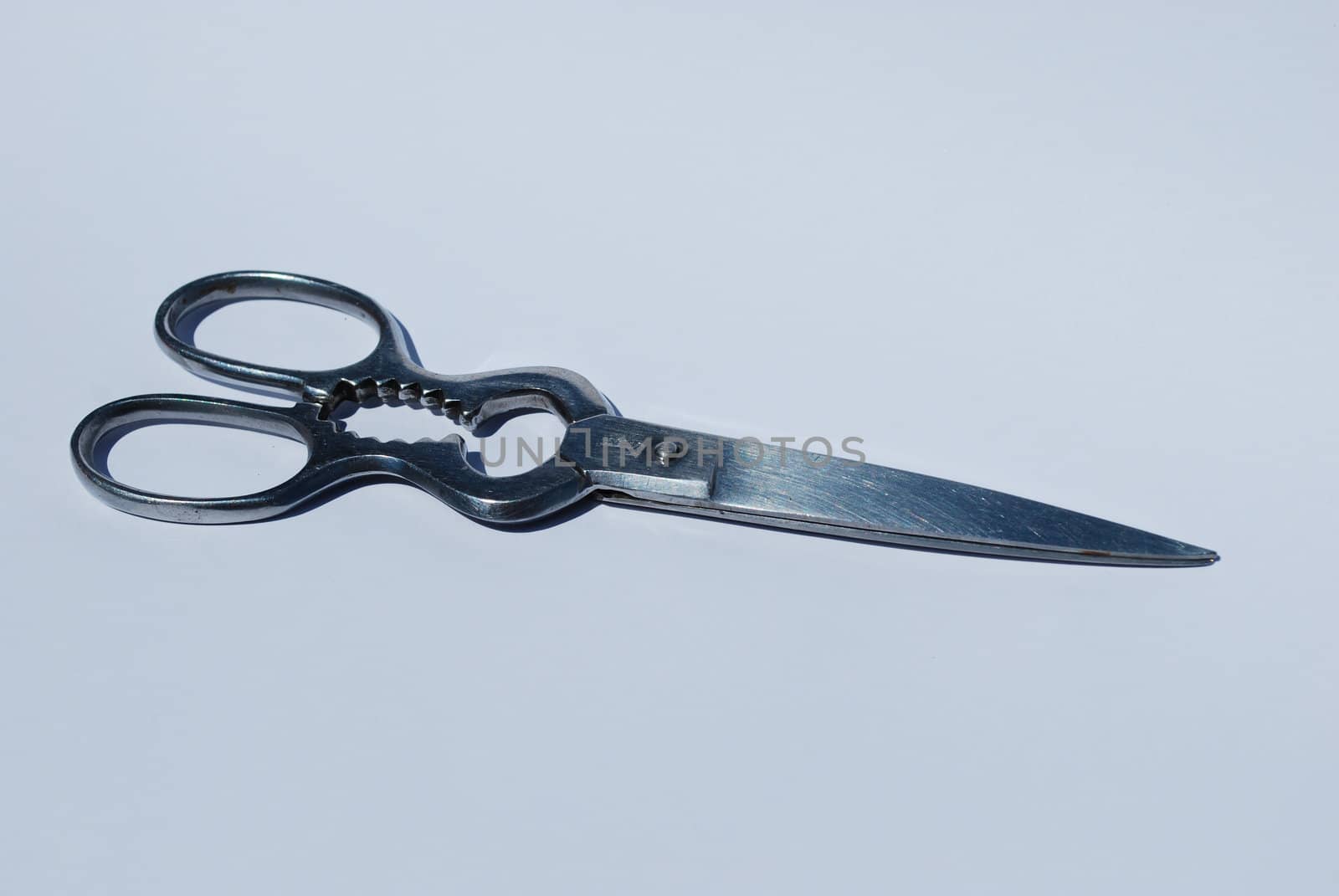 Stainless steel scissor on white background