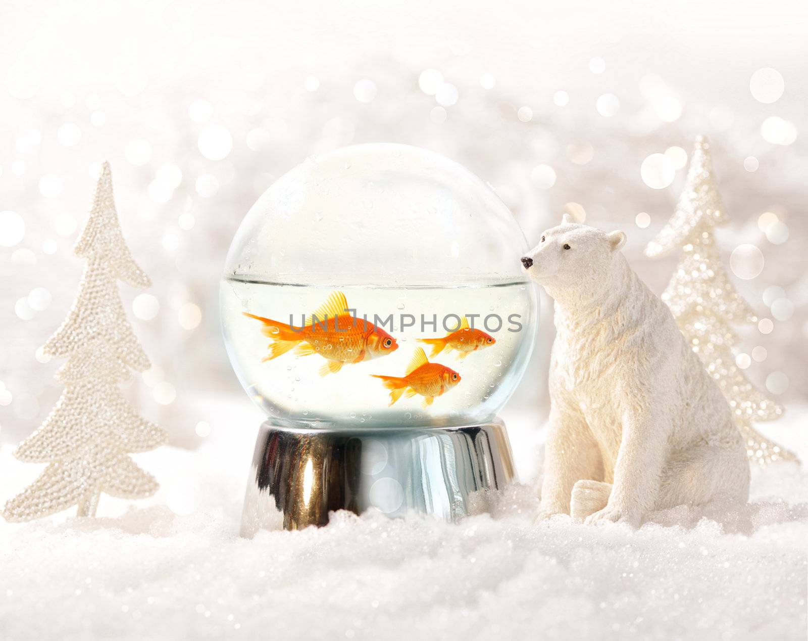Snow globe with fish in magical winter scene