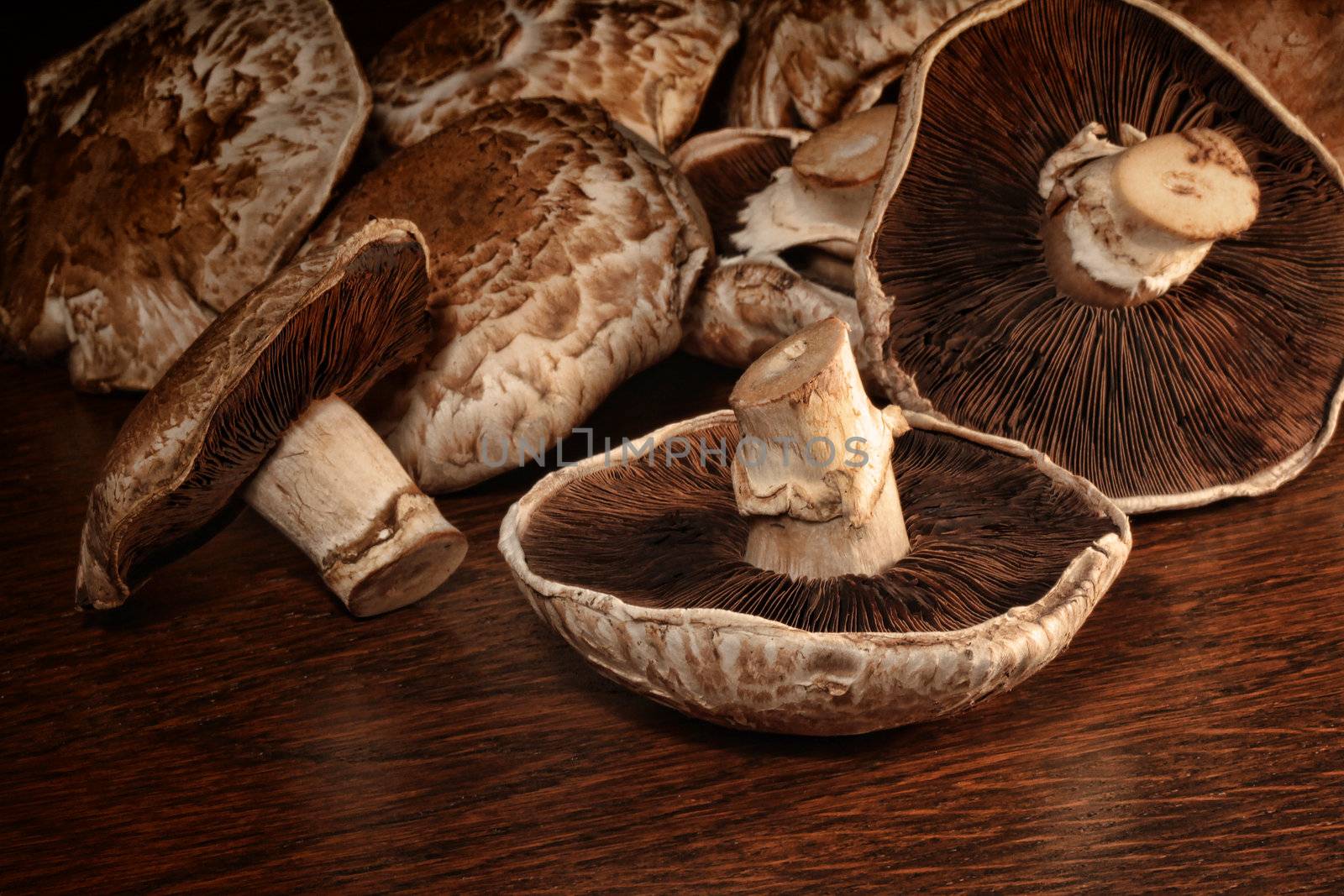 Closeup of fresh portobello mushrooms on wood surface 