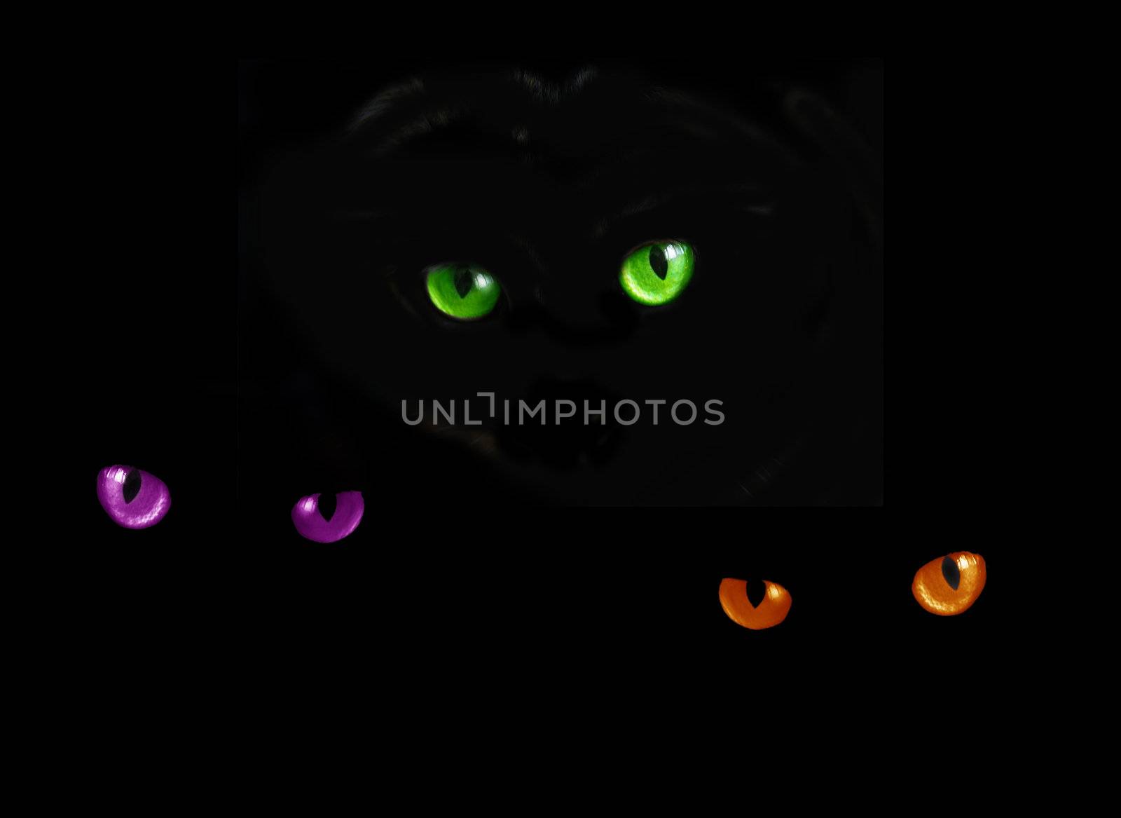 Cat eyes in dark