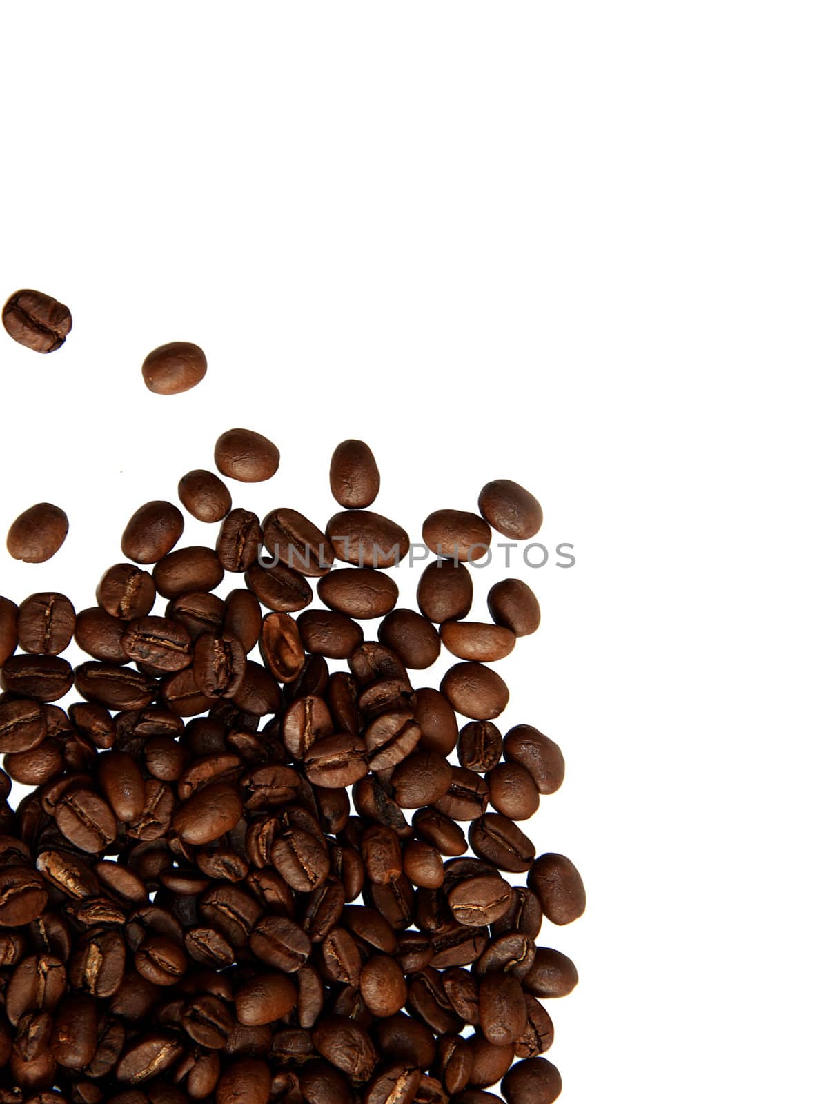 Coffee beans on white background