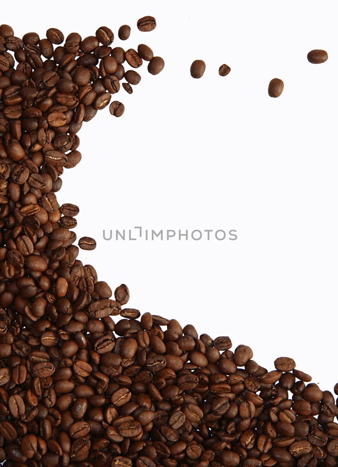 Coffee beans on white background