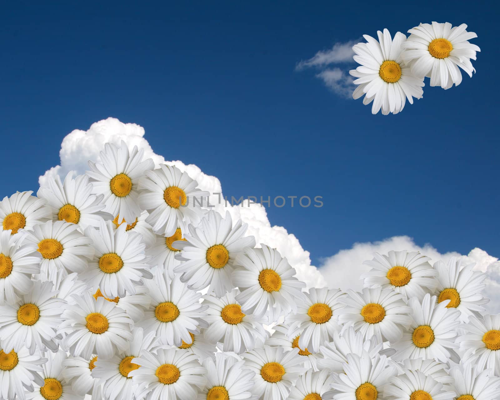 Floral sky background