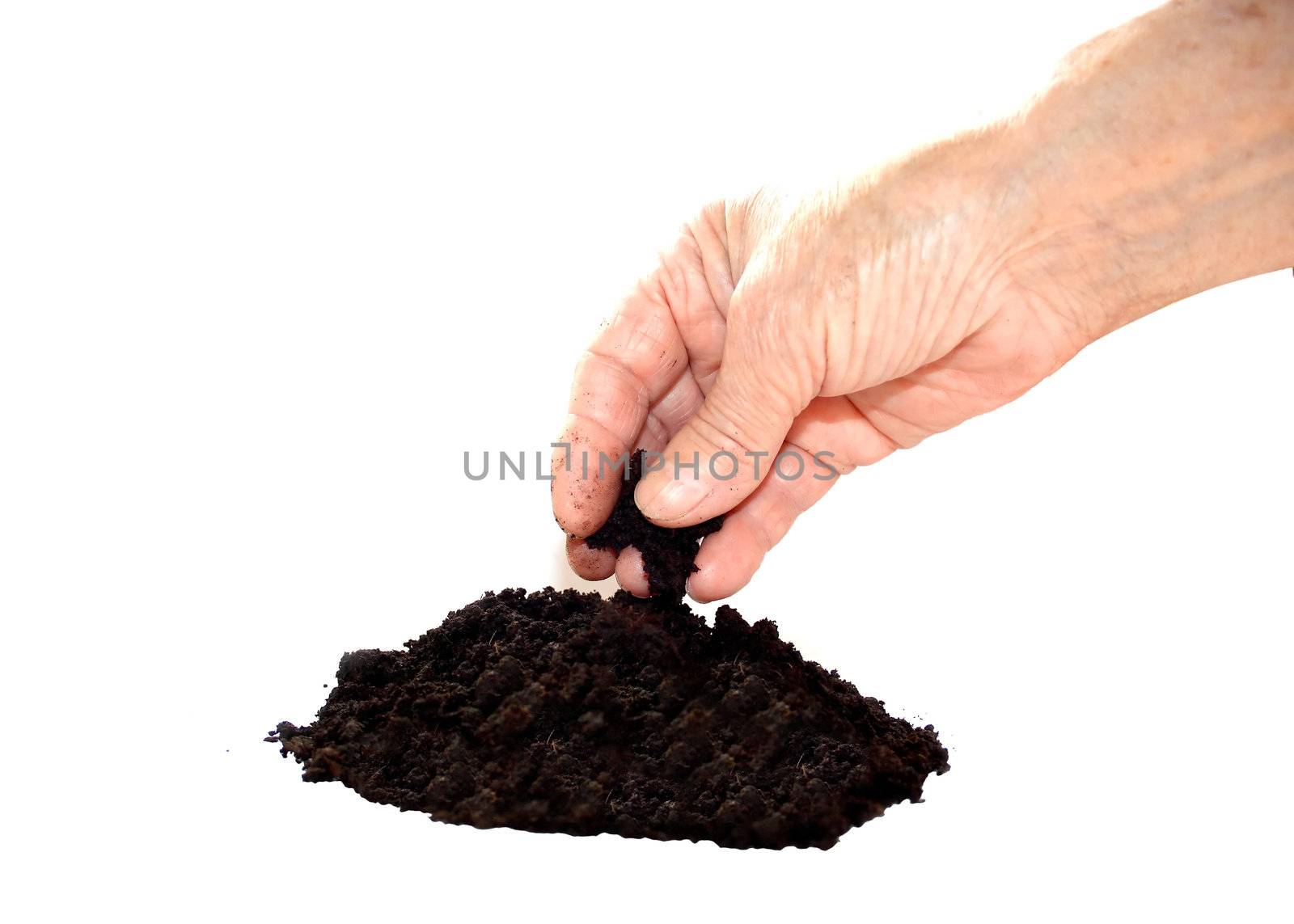 Soil black in hand by Kudryashka
