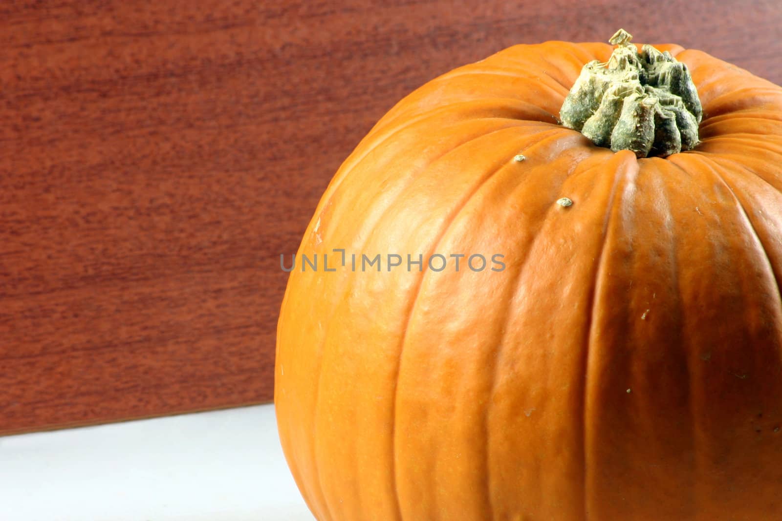 pumpkin by leafy