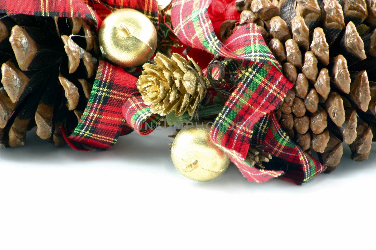 pine cones and ribbons by leafy