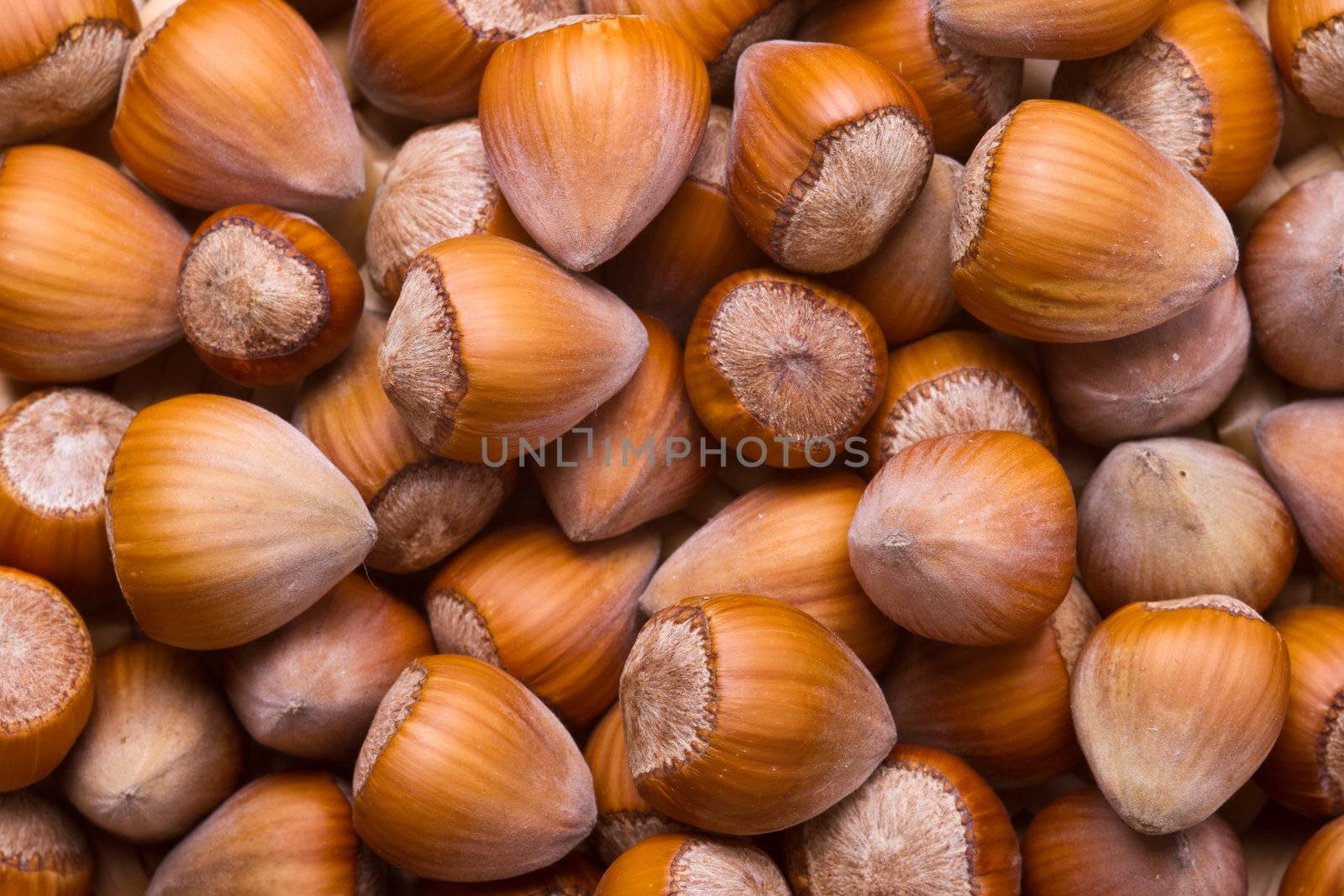 Hazelnut background - top view of fresh hazelnuts