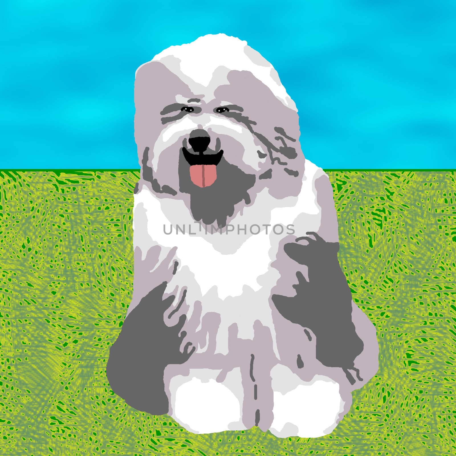 A grey and white sheepdog sitting on a grassy field.