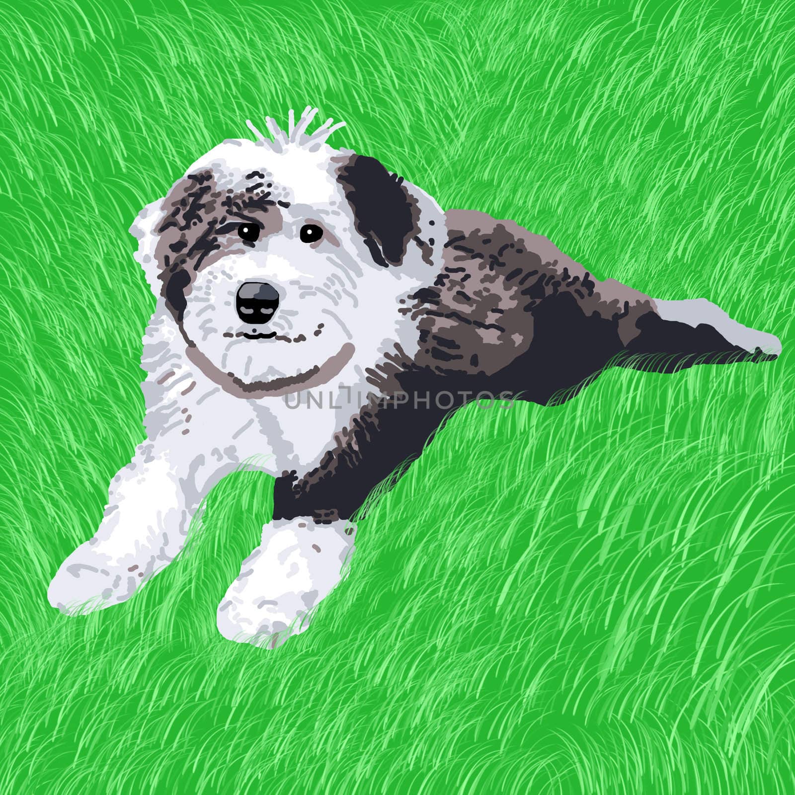 A happy sheepdog puppy happily lying in the grass.