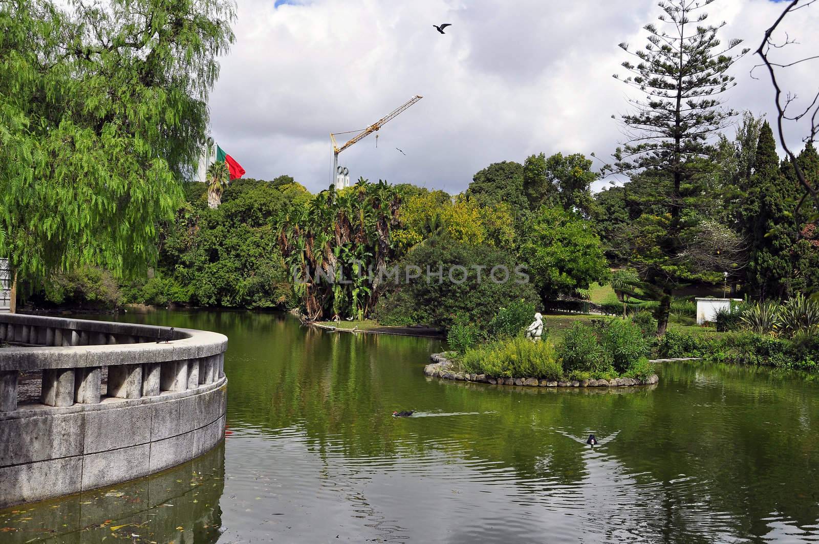 trees lake portugal park green reflection sunlight military outdoors