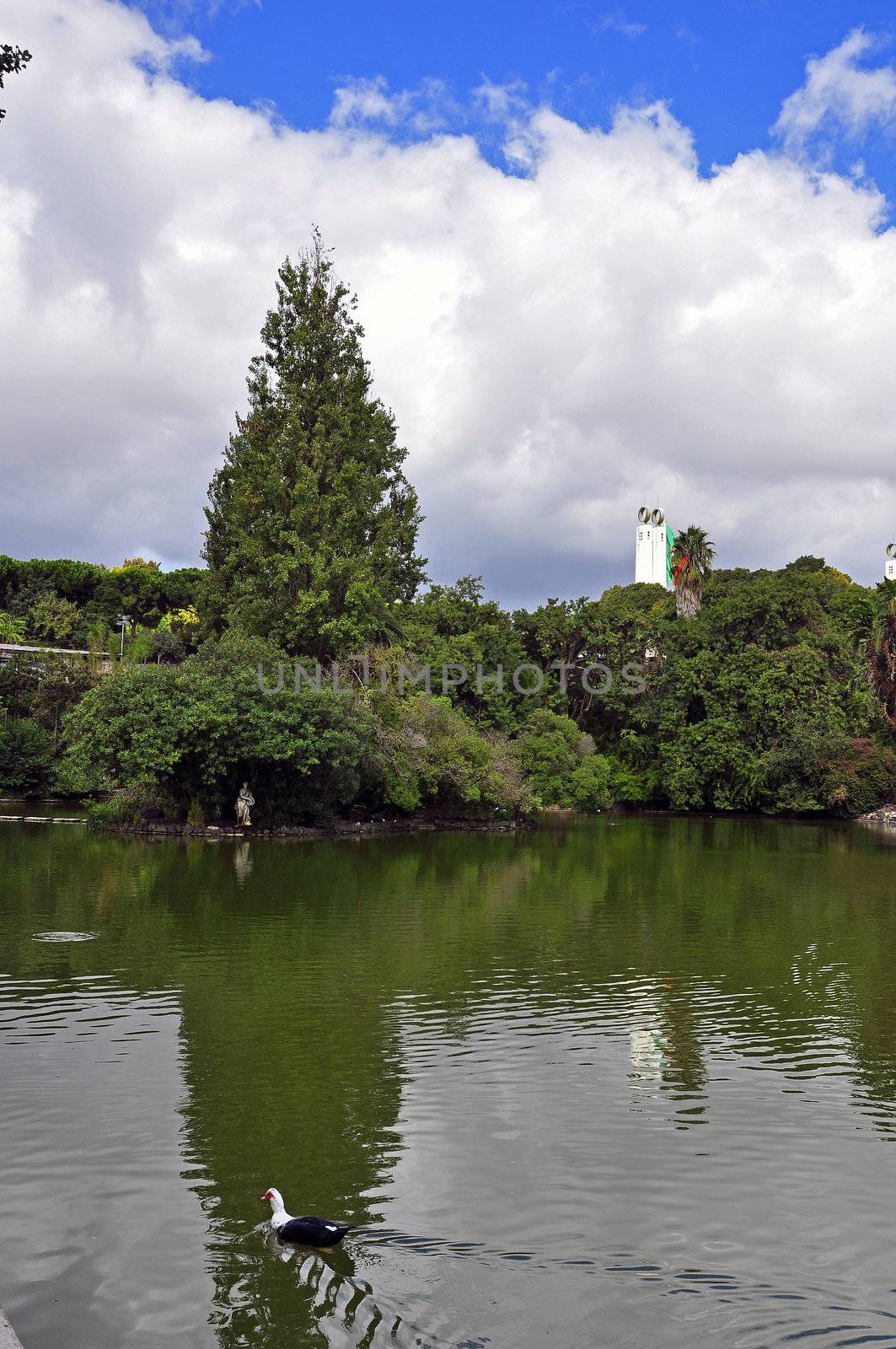 trees lake portugal park green reflection sunlight military outdoors