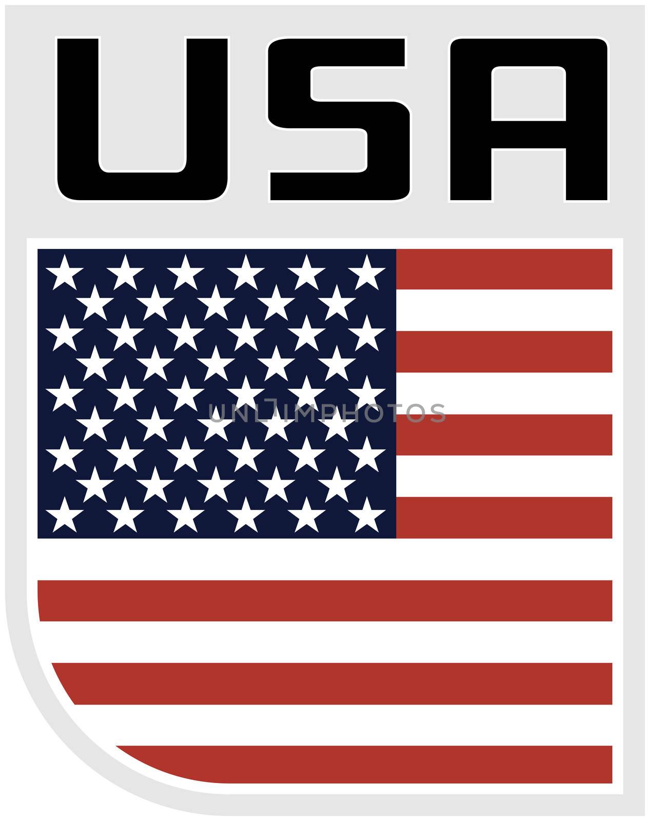 USA Flag Icon by patrimonio