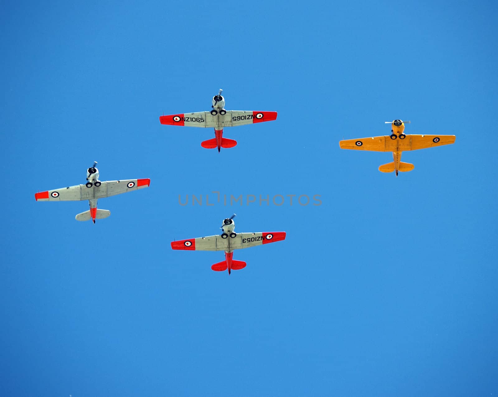 Napier - February 21: New Zealand Warbirds Aerobatic Team flying Vintage Harvard planes at the 21st Art Deco Weekend. Napier New Zealand 22 February 2009     