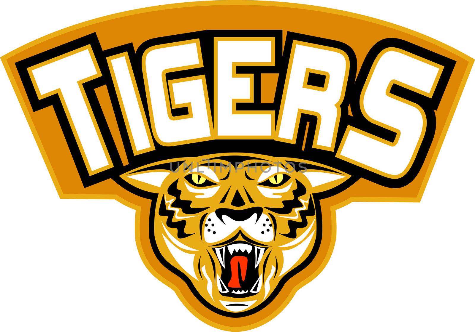 illustration of an angry tiger head  front view  with words "tigers" suitable for any sports sporting club team mascot