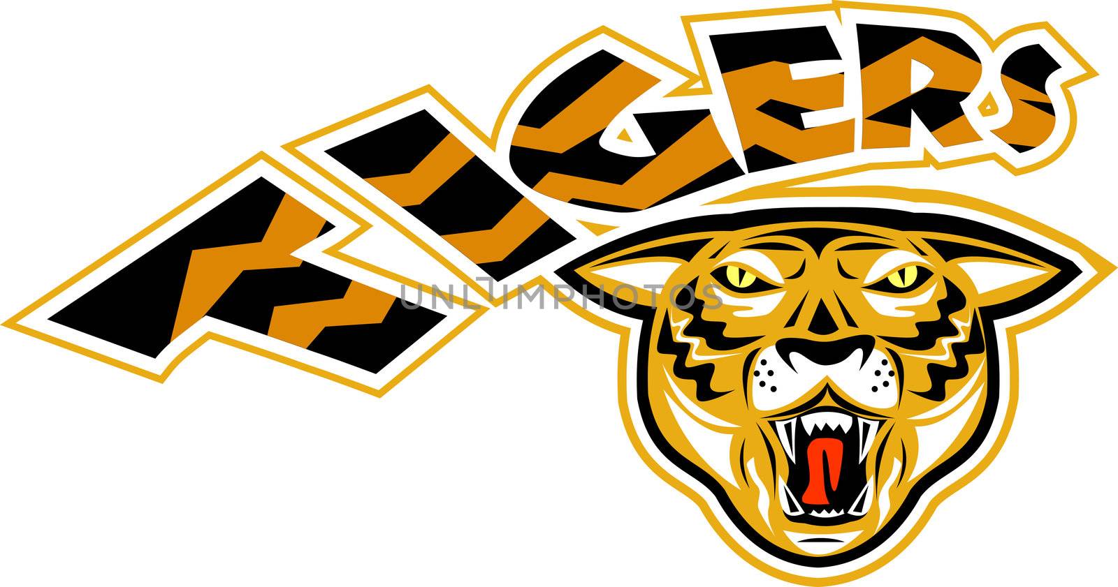 illustration of an angry tiger head  front view  with words "tigers" suitable for your rugby,soccer, football or any sports sporting club team mascot