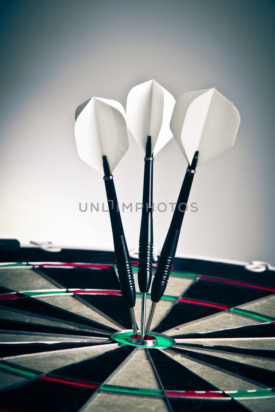 Darts Arrows Right In The Center by nfx702