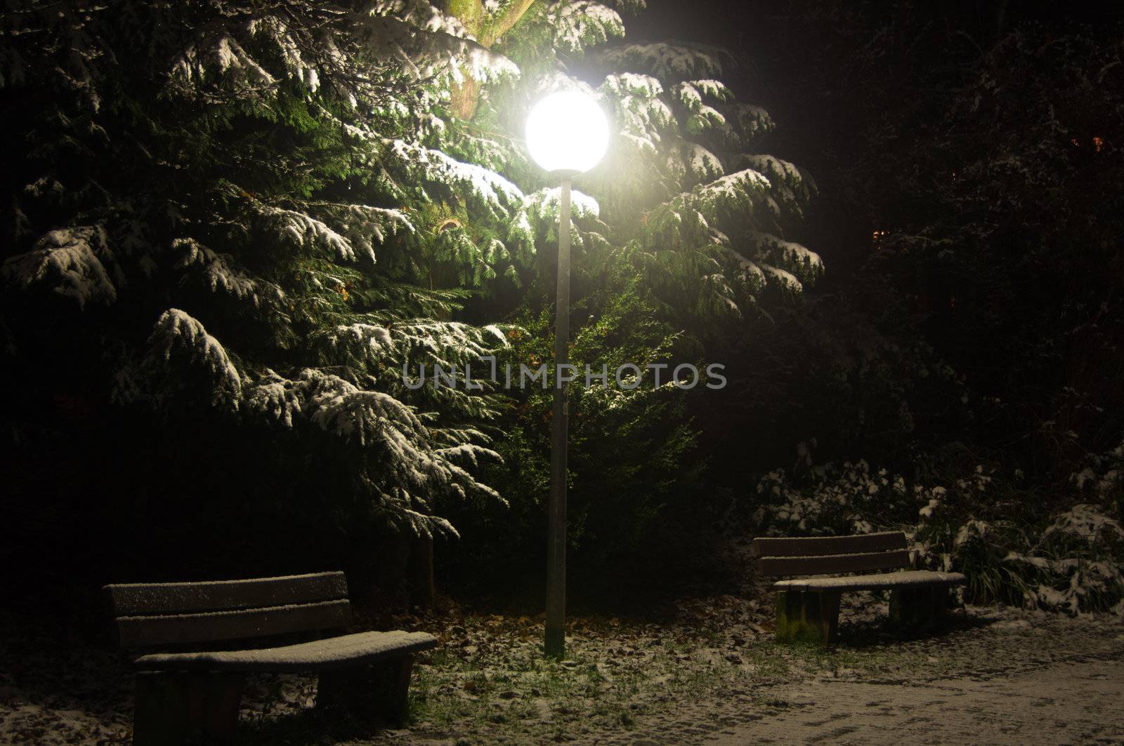 Nightly park scene with lamp and benches